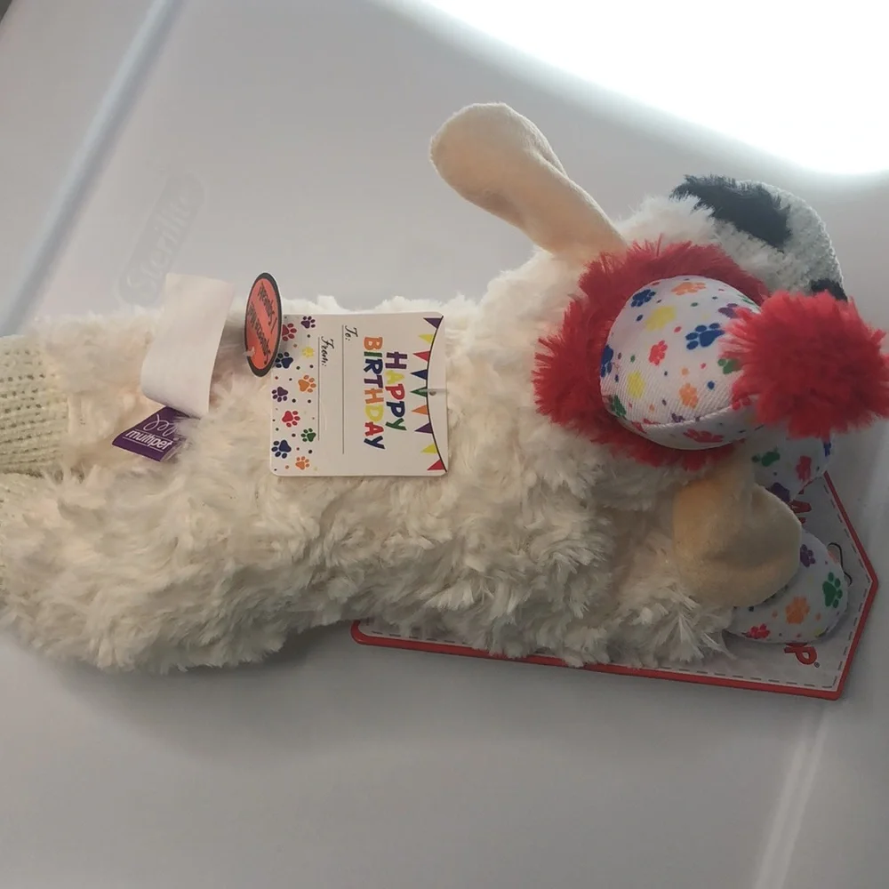 🥳HP🐶 Birthday LambChop
